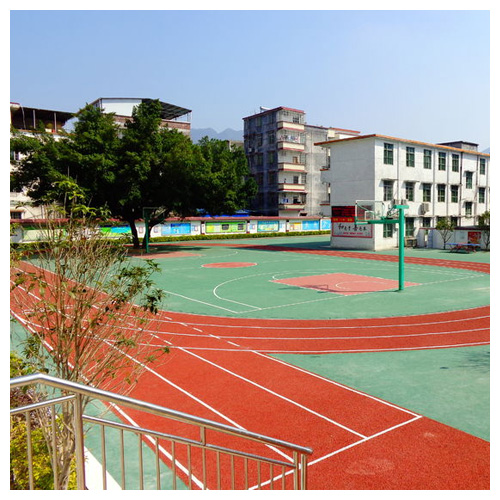 潮州雷公坑小学复合型塑胶跑道